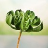 Inspired by Nature Pair of Unique Looking Green Succulent Picks