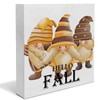 Fall Decor - Fall Gnomes Decorations Rustic Autumn Wooden Sign