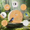 Bird Song Soundbox, Bird Twitter with Wall Mount, Motion Sensor