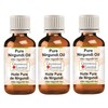 Greenwood Essential Pure Nirgundi Oil (Vitex negundo linn) Natural Therapeutic