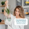 Nook Theory 4-Pack Macrame Plant Hangers with 8 Hooks -