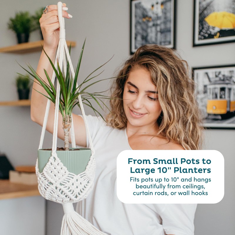 Nook Theory 4-Pack Macrame Plant Hangers with 8 Hooks -
