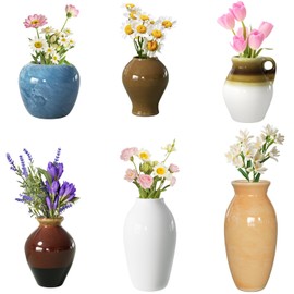 Cute Mini Ceramic Vase Fridge Magnets, Funny Small Plant Magnets, Tiny 3D Plant Vase for Refrigerator Decoration Kitchen Locker Kitchen Office (6 Pack)