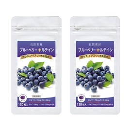 大日ヘルシーフーズ ブルーベリー ルテイン 120粒入（錠剤タイプ）×2袋 カシス メグスリの木末配合 サプリ