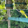 GARDENIX Baumanbinder, Pflanzenband, Baumbindeband (50m, Grün) Zum Fixieren Und Binden