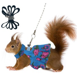 Squirrel Skirt Harness Leash Set Ferret Vest Adjustable Traction Rope Strap Cute Floral Clothes for Small Kitten Animal Dwarf Chinchilla, Guinea Pig, Fancy Rat (Blue,M)
