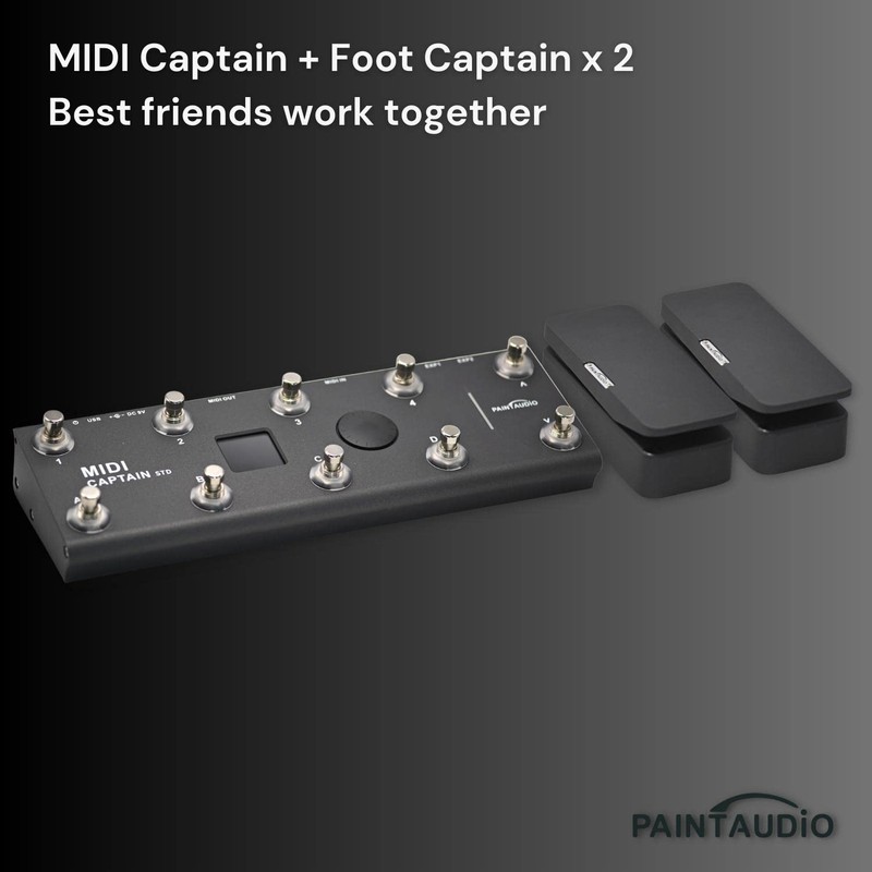 Paint Audio Foot Captain Dual Outputs Expression Pedal Multi-effects Compatible