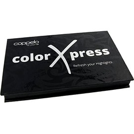 Coppelo colorXpress Light Blonde to Blonde Instant Opaque Hair and Eye Brown Make Up