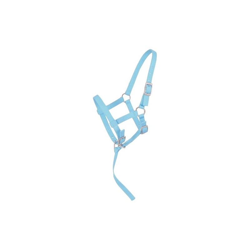 Tough1 Adjustable Foal Halter - Light Blue