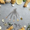BERYLER® 1/16 Teaspoon(1/16 Tsp | 0.33 mL | 0.33 cc
