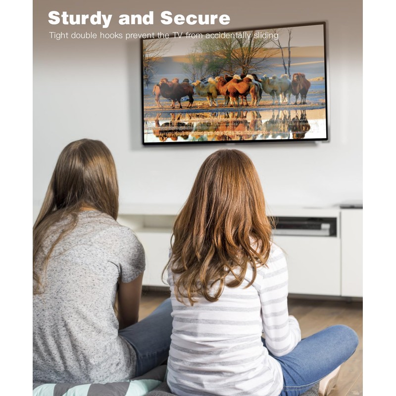 Solid As Mountain Fixed TV Wall Mount Low Profile for