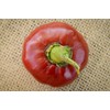 Nora Basque Heirloom Pepper Premium Seed Packet + More