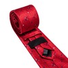 Barry.Wang Red Tie for Men Plaid Silk Necktie Pocket Square