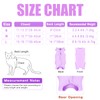 TIAGOBOO cat Recovery Suit Soft Cat Surgery Recovery Suit Female