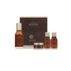 Beyond 비욘드 타임리스 피토 셀 리뉴 에센스 기획 Beyond Timeless Phyto Cell Renew Essence Special Edition