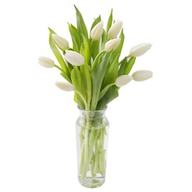 Blooms2Door PRIME NEXT DAY DELIVERY - Fall Collection - Bouquet Of 10 Farm-fresh White Tulips With Vase,.Gift for Birthday, Anniversary, Thank You, Valentine, Mother’s Day Fresh Flowers