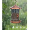 Acgarten Large Hanging Wild Bird Feeder – Outdoor 12.6inch Durable
