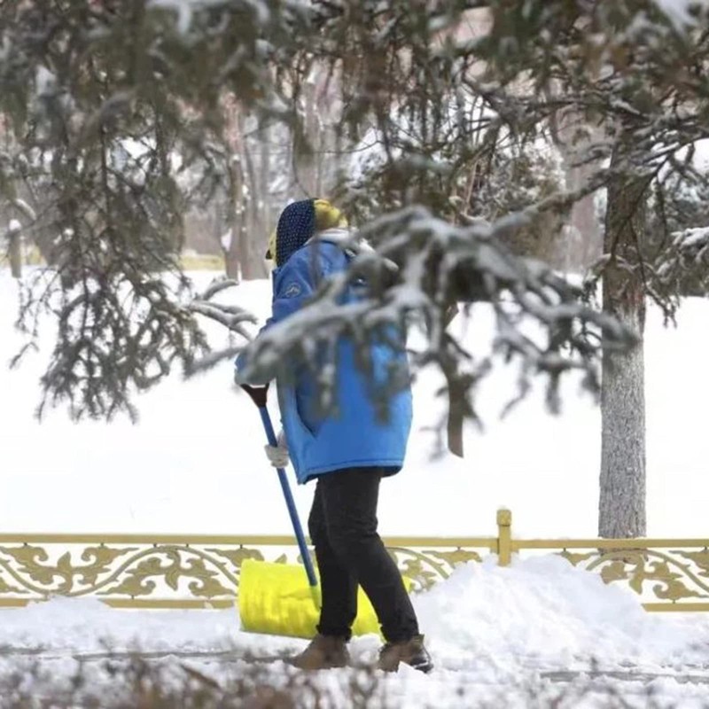 D Grip Plastic Spade Handle, 32mm Inner Diameter Snow Shovel