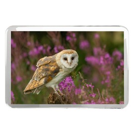 Pretty Barn Owl Classic Fridge Magnet - Bird Prey British Wildlife Gift #15813
