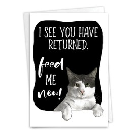 NobleWorks, Funny Miss You Greeting Card with 5 x 7 Inch Envelope (1 Card) Thinking of You, Just Because Cat Antics - Feed Me C3638CMYG