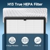 2 Pack F1 Replacement Filter Compatible with AMEIFU F1 Air