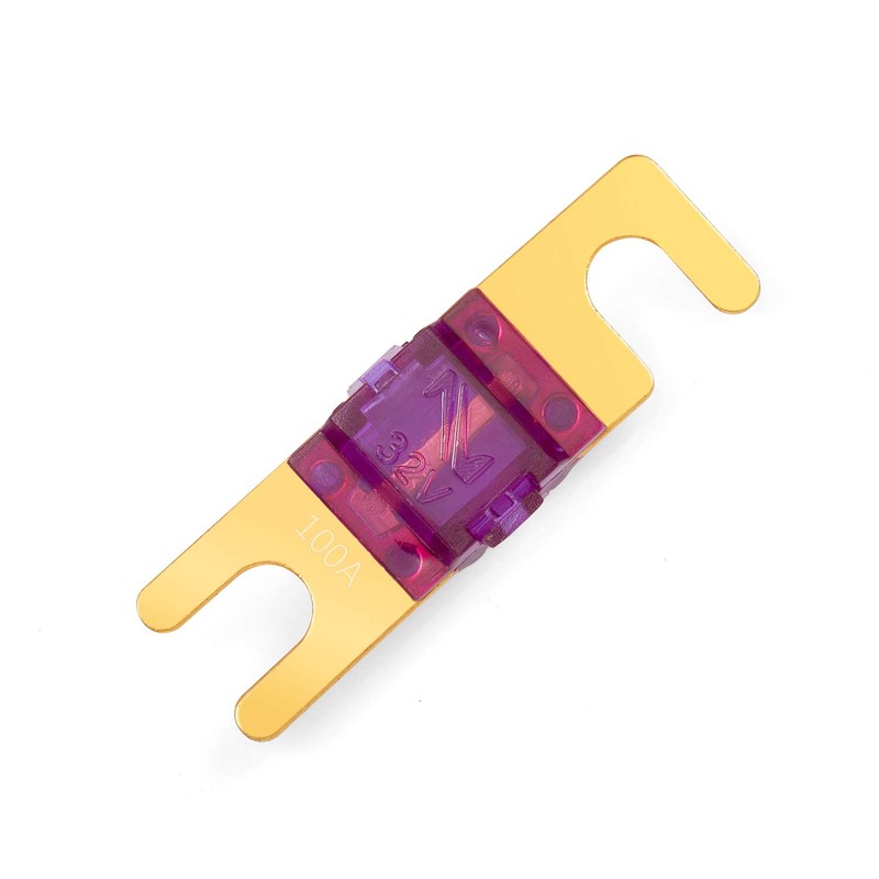 Chanzon 5Pcs 100A AFS Mini ANL (MANL) Fuse Color Coded