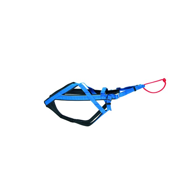 Neewa Adjustable Racing Harness (X-Large, Blue)
