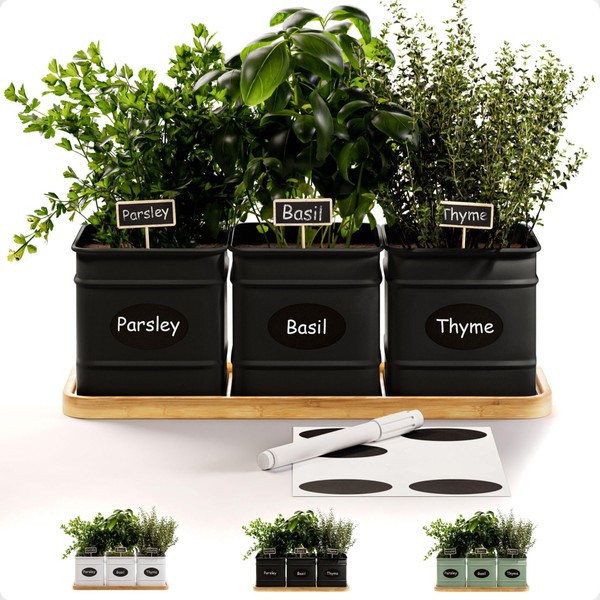 HB Design Co. Herb Planter Indoor - 3 Iron Herb