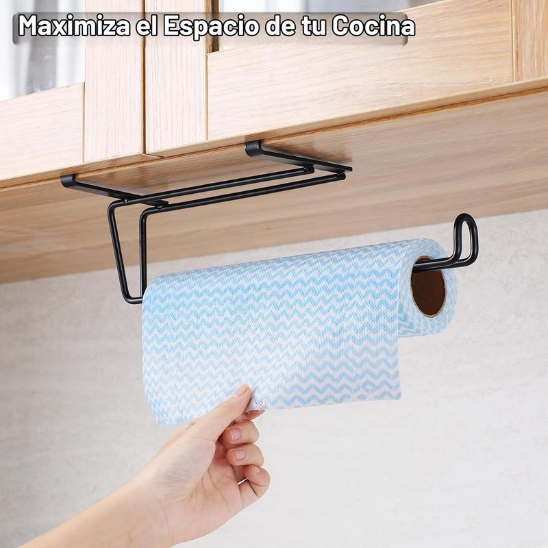 Toallero de Papel T.R.Sani 1008B Negro de Acero Inoxidable -