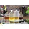Bitters Bottle for Cocktails - Glass Bitters Bottle with Stainless