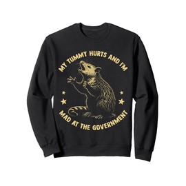 My Tummy Hurts and I'm Mad at The Government Funny Gov Tees Sweatshirt