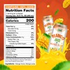 Vinut 100% Mango Juice with Pulp (16.57 fl oz, Pack