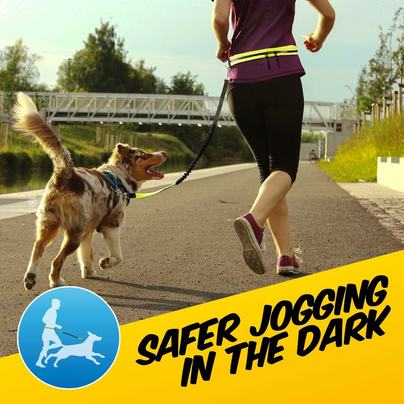PawPride 7in1 Reflective Hands-Free Dog Adjustable Belt 1.6m Lead -