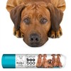 The Blissful Dog .15 oz Tube Rhodesian Ridgeback Booboo Butter