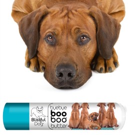 The Blissful Dog .15 oz Tube Rhodesian Ridgeback Booboo Butter