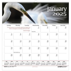 House of Doolittle 2025 Monthly Wall Calendar, Earthscapes Wildlife, 12 x 12 Inches, January - December (HOD3731-25)