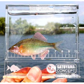 Observation Case Clear