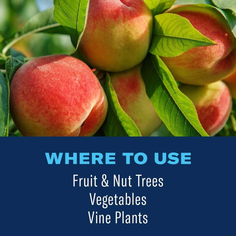 BioAdvanced 3-in-1 Fruit, Citrus & Nut Tree Spray Ready-to-Spray, 32