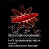 ADRAZA - Artistic Rattleback Easy Magic Chembongo Philosophocal Toy Hand-size