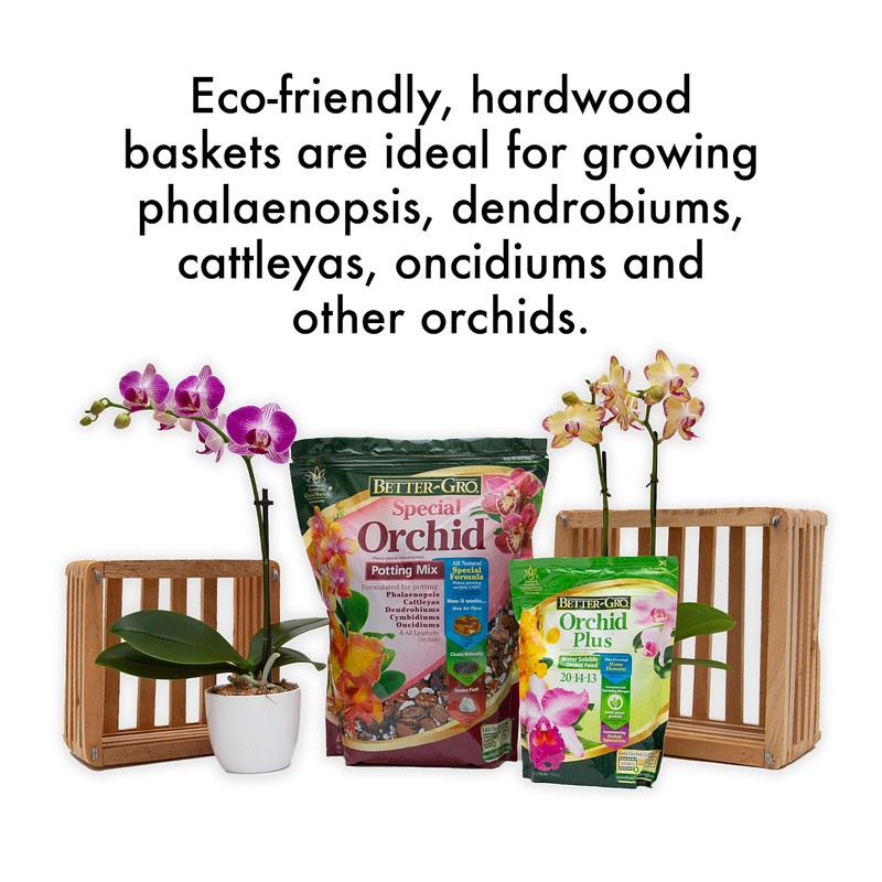 Better-Gro FBA_5271 Basket, Browns