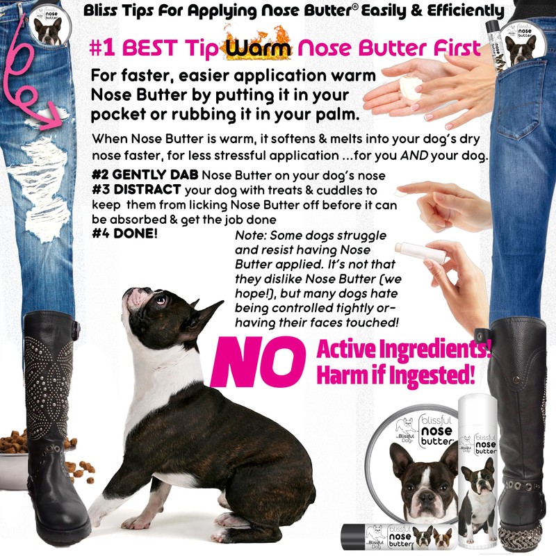 The Blissful Dog Boston Terrier Nose Butter, Versatile Dog Nose