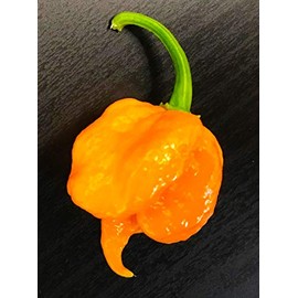 Orange Carolina Reaper HP22B Pepper Premium Seed Packet Record Hottest in The World + More