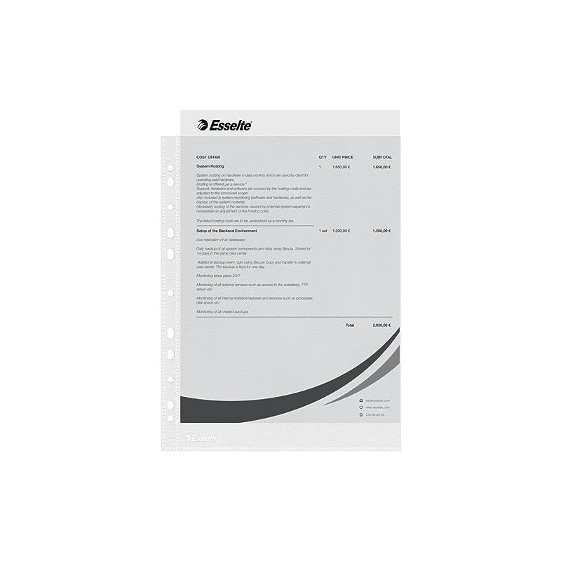 Esselte Punched Pocket, Pack of 100, Holds up to 30