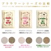 Kinoshita Flour Brawer Whole Grain Flour, 8.8 oz (250 g)