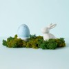 Netuno Decorative Moss Dark Green 30 g Natural Moss Reindeer
