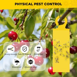 Pack of 46 Fungus Gnats, Yellow Stickers Fungus Gnats, Nematodes Against Fungus Gnats, Fly Trap Flower Pot, Safe, Odourless, for Indoor and Outdoor Use