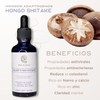 Extracto de Reishi, Shiitake y Melena de León de Doble