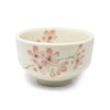 aquanaut Mino Ware Japanese Matcha Bowl Chawan Shiroyama Sakura Diameter