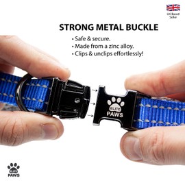 Elite Paws® UK: Premium Metal Buckle Dog Collar, Strong, Safe, Padded, Comfortable, Reflective, Adjustable, Secure Fit with Metal Lead Attachment, Puppy Walking/Training Product (35cm-40cm, Blue/Grey)