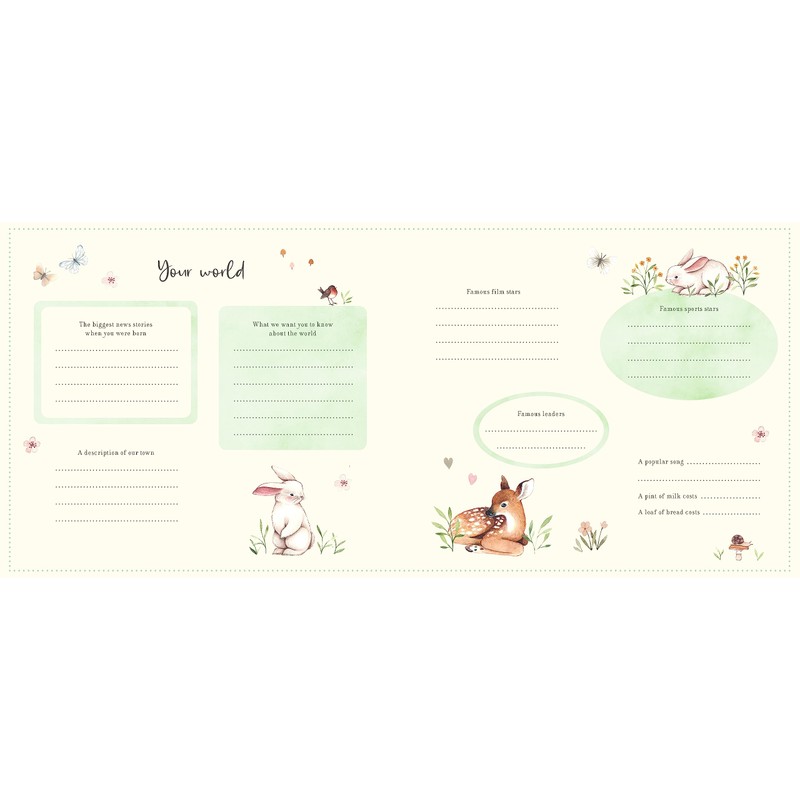 Baby's First Year (Baby Record Book)